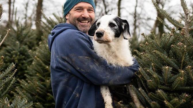 Rob Thomas with his Christmas trees and farm dog