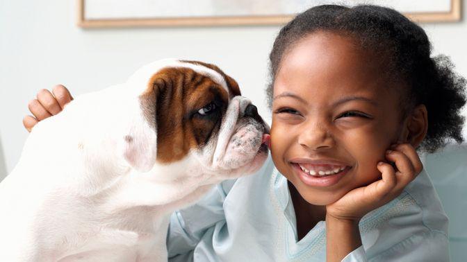 Puppy Licking Girl on Cheek.