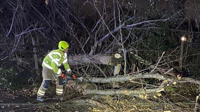 Firefighter cutting up a tree