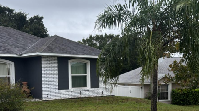 The home is most likely on one level with a black roof and white tiling on the front and large windows with a palm tree at the front of their garden.