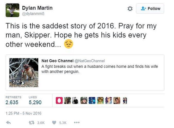 Tweet from Dylan Martin