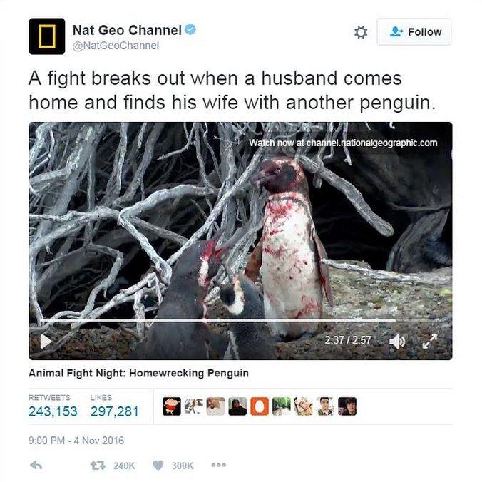 Tweet from Nat Geo Channel