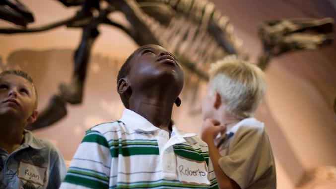 child in museum, looking at dino bones