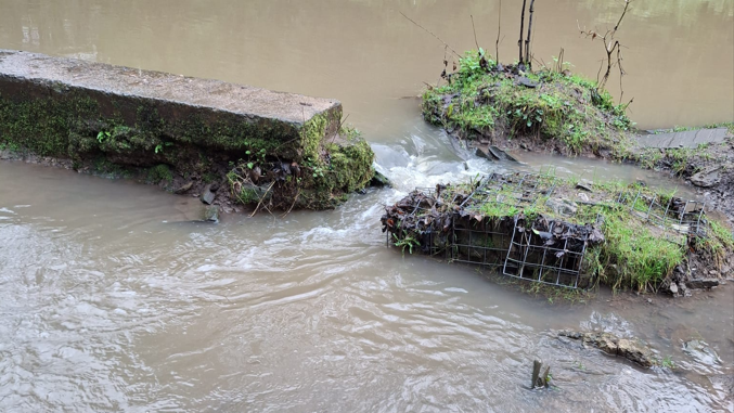 Brown water flows between a gap in a river wall. On one side is a concrete barrier, on the other a muddy deteriorating bank. Stunted vegetation can be seen on both sides. 