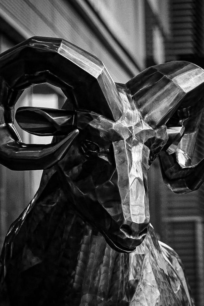 A black and white image of the ram statue outside the Derbion shopping centre