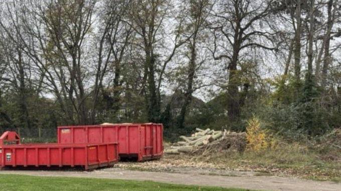 Two industrial-sized red containers on the ground in the park next to felled trees and piles of wood. There are tall trees behind blocking the view of houses in the distance.  