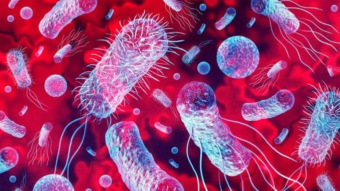 A microscopic view of a virus