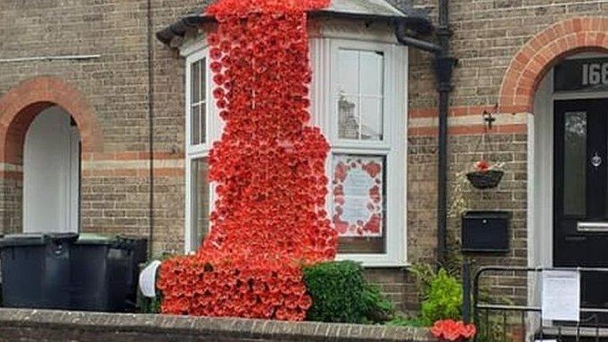 Poppy display