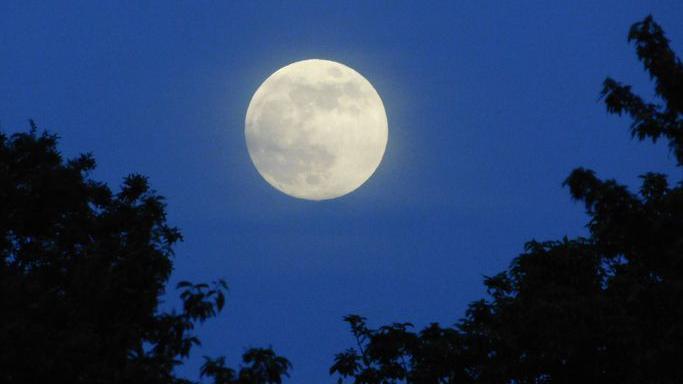 The Flower Moon, captured through the trees in May 2021.