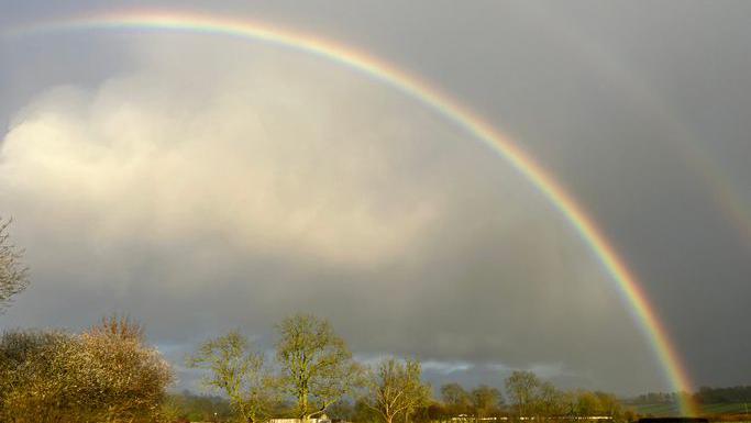 A rainbow arcing across an overcast sky with the trace of a second one above, and a line of autumnal trees across the bottom of the scene