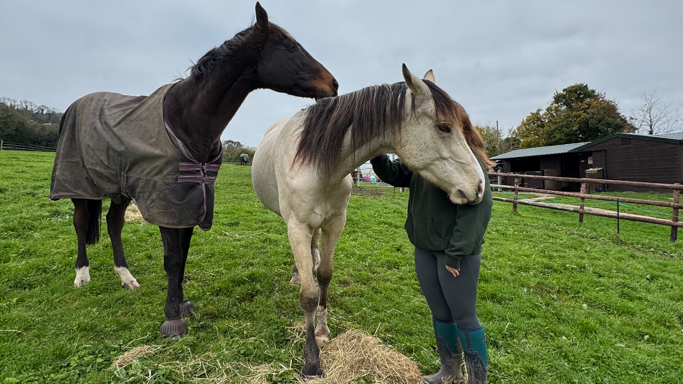 A woman with two horses, one light and one dark, in a field. The dark horse is wearing a rug. The woman's face is hidden by the pale horse's head and she is stroking its neck. 