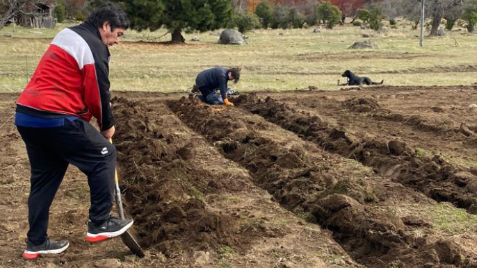 Two people can be seen painting flowers in flower beds with tress and fields behind them. The man in the foreground is holding a shovel as he digs in wearing a red, black and white jacket. 