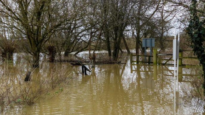 Flooding at Conigre Mead nature reserve in Melksham. The water is reaching the fences and trees.