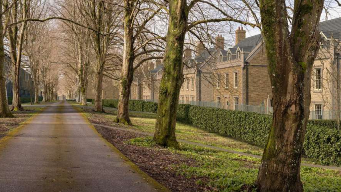 Three-storey homes with chimneys run along a tree-lined road, in an artist's impression of the proposed housing estate.