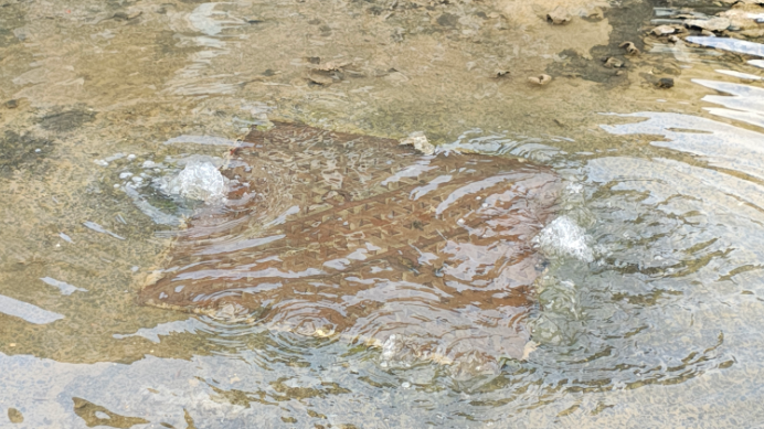 Water bubbling out of a drain in the road. 