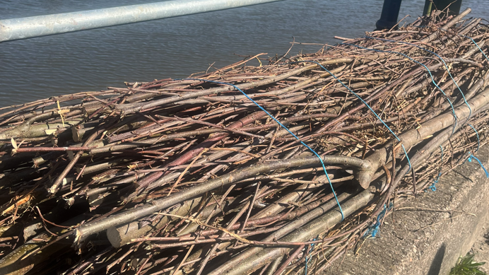 A close-up photo of the stick bundles which are being used in the project.