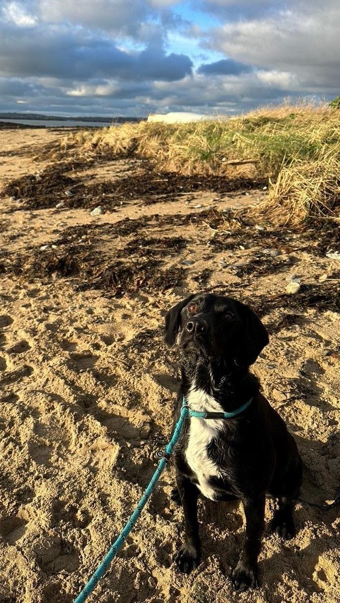 Meg on the sandy beach