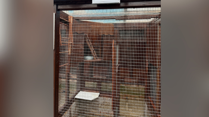 An empty cage at The Grange Pet Centre after the break-in. Bird feeders and a ladder can be seen through the mesh.