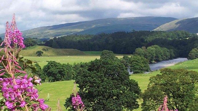 A view of green fields surrounding a river. Rolling hills can be seen in the background and bright pink flowers in the foreground.