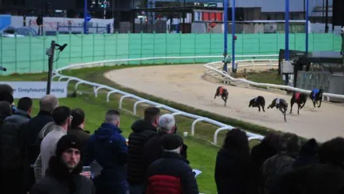 Five greyhounds racing around a sandy track, with spectators looking on from behind railings. The backs of the spectators can be seen, with one man looking towards the camera. 