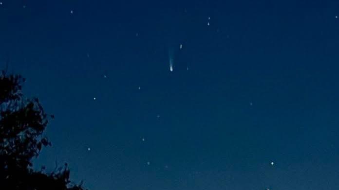 A portrait photo of the night-sky, light blue fading up into dark blue. The silhouette of black trees frame the bottom of the image. The sky is dotted with white stars, a larger one in the top-centre with a trail of light following above it. 