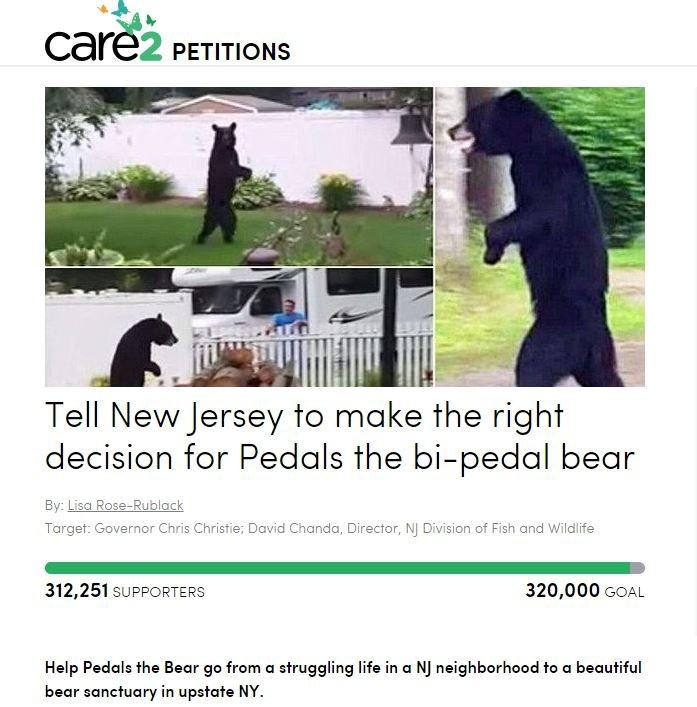 Pedals the Bear YouTube