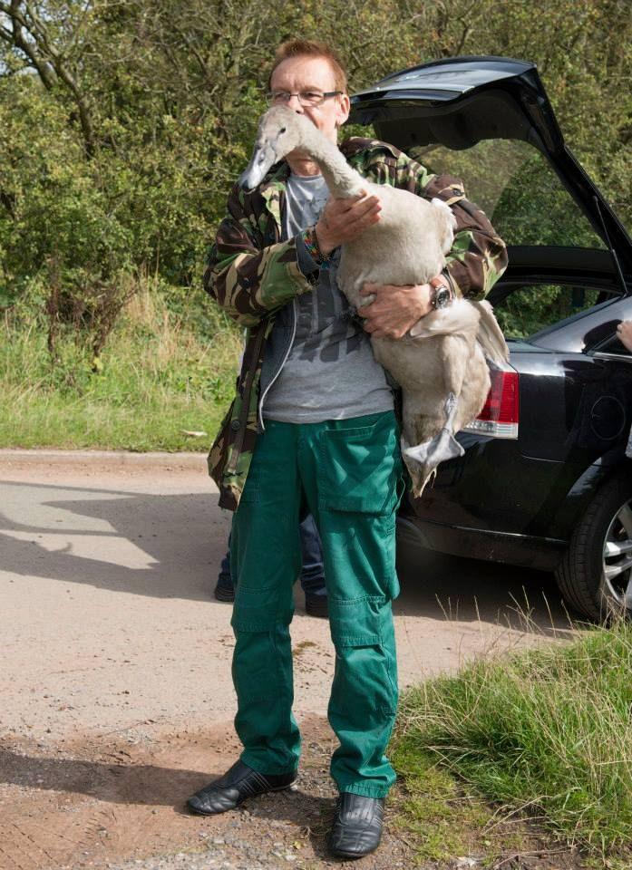 Robert Slaney holding a large bird in a public park 