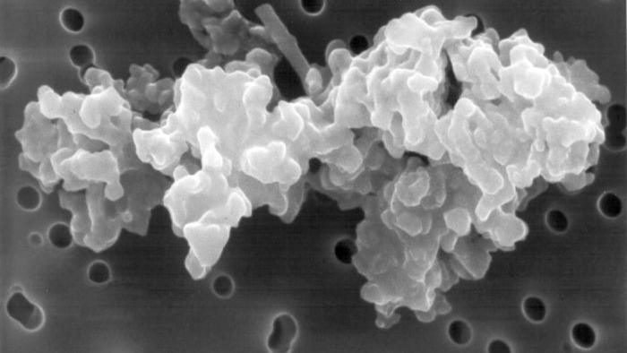 A scientific image of spongey space grains