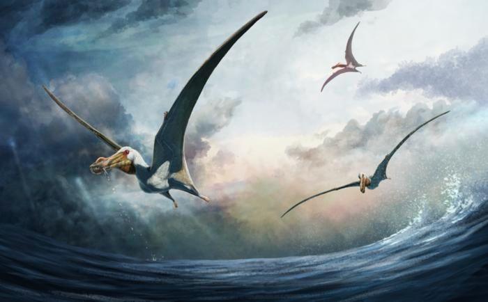 pterosaurs-flying-over-water. 