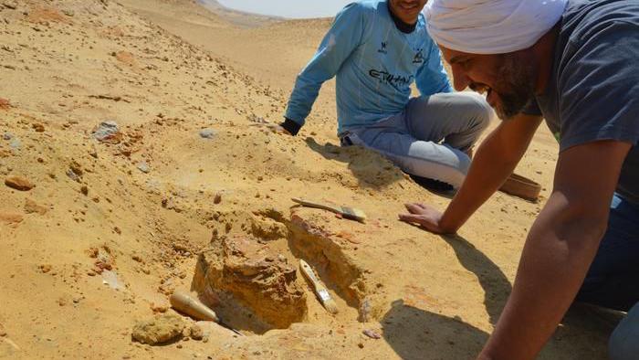 Prof. Sallam, the senior author and a Sallam Lab team member during the discovery expedition.