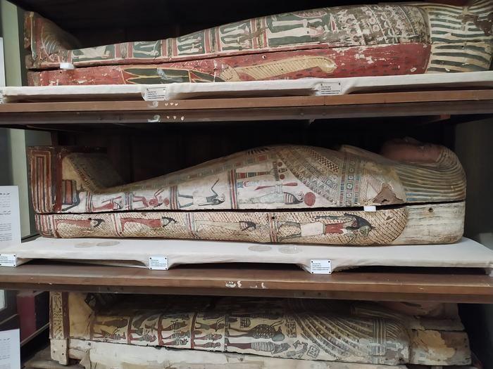 Ancient Egyptian mummies. 