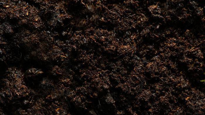 A picture of soil.