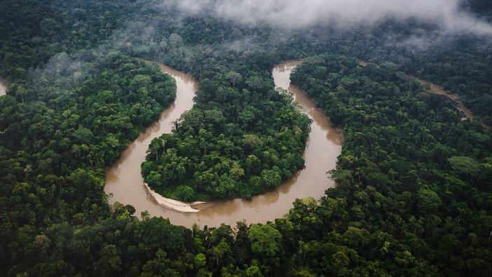 Amazon rainforest