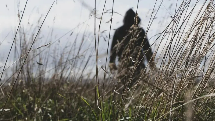 A shadowy figure in the grass 