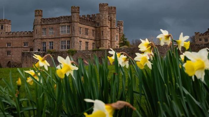 Leeds castle and daffodils