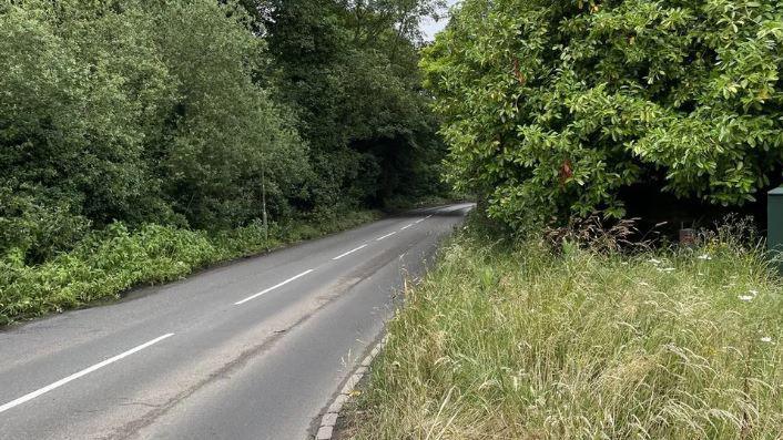 A road winding through lush greenery on an overcast day