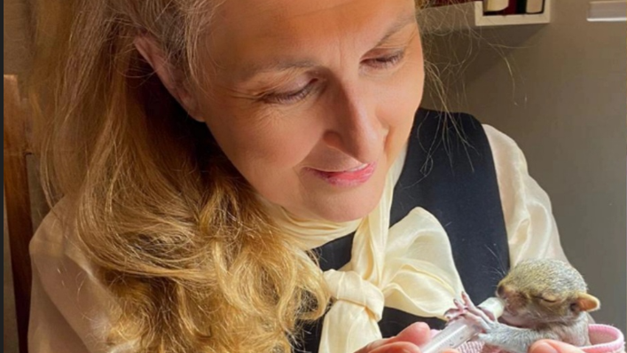 Natalia Doran is feeding a tiny grey squirrel using a syringe 