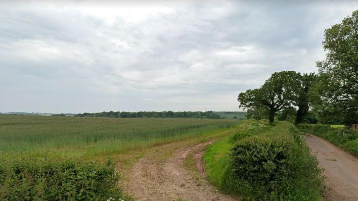 A large field. There are numerous trees to the right hand side with a dirt track running in the middle.