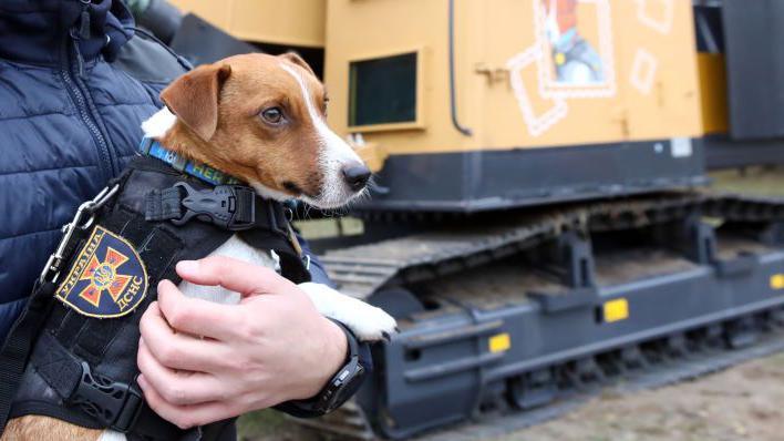 Patron the mine-sniffing dog in front of a mine clearing machine