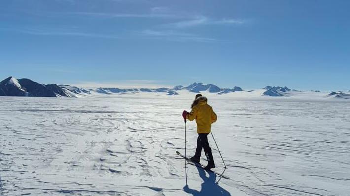 A man with skis trekking into the snow on a clear day.