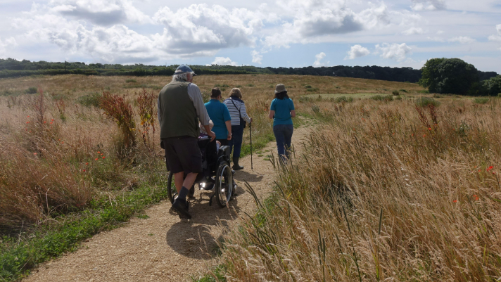 A group of people taking a path through an open space on a sunny day
Wild Woodbury