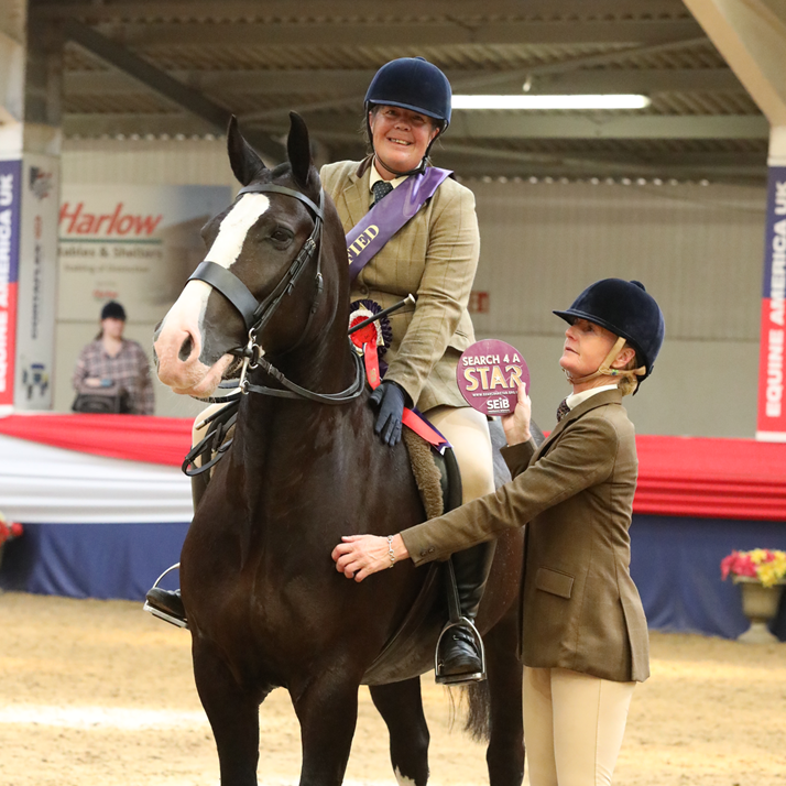 Sox in the show ring with a red winners rosette on him. Sox is a black horse with white legs and a white stripe on his face. He is ridden by his owner Faye. On the ground next to them is one of the judges.