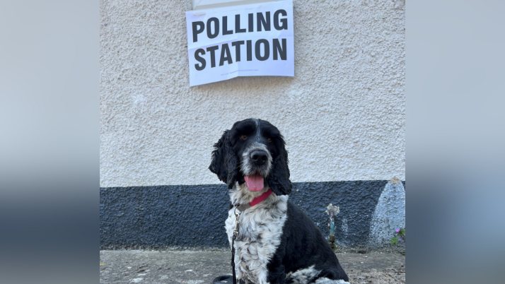 Cocker spaniel on a leash in front of a sign that reads Polling Station.