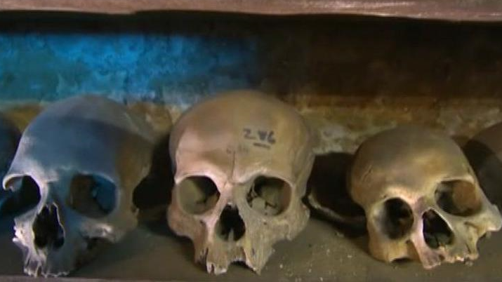 Human skulls on wooden shelves at Rothwell Church