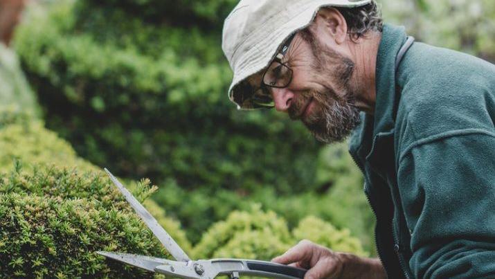 Chris Reeve shaping one of his topiaries 