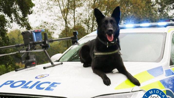 Police dog sits on car bonnet 