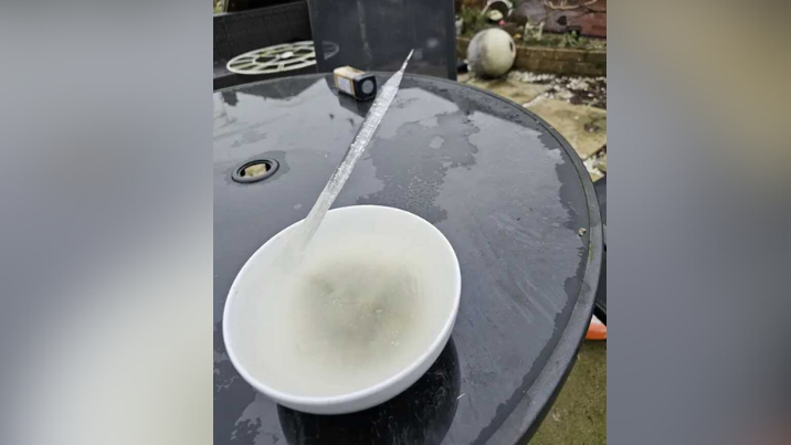 The ice spike that occurred in Eugene Kirk's garden. It is coming out if a bowl of frozen water. 