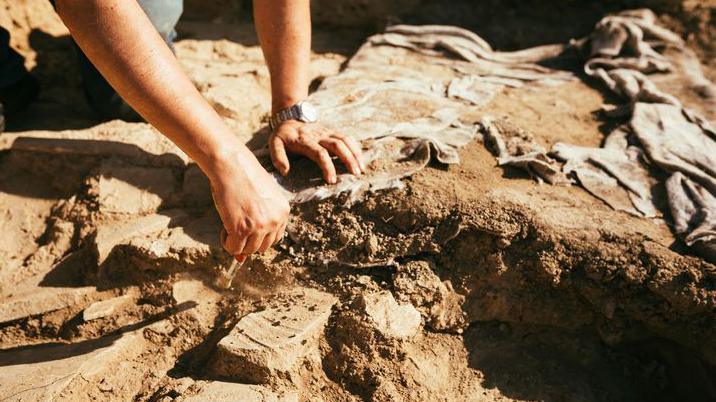 archaeologist digging