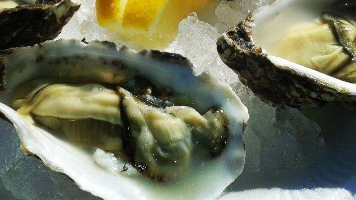 A picture of an oyster on a bed of ice. Its shell is white and brown in colour.