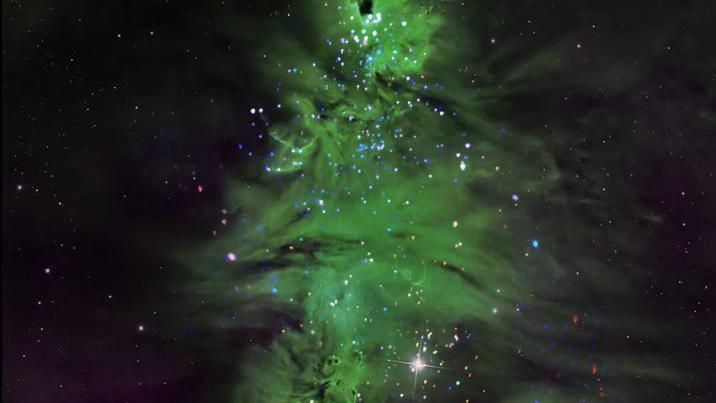 A photo of the Christmas tree cluster